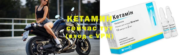 крисы Богородск