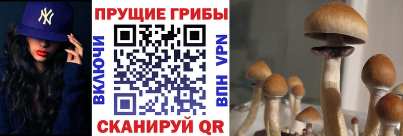 Галлюциногенные грибы прущие грибы  продажа наркотиков  Благовещенск 
